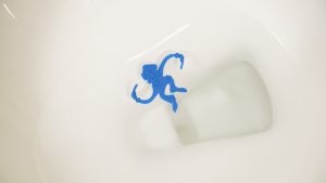 Troubleshoot a clogged toilet.
